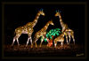 China_Light_Festival_Giraffe__01.jpg