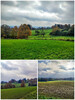 Dateiname=Collage_Herbstwanderung_Manni.jpg
Dateigröße=407KB
Abmessungen: 900x1200
hinzugefügt am: 27. November 2023 Collage_Herbstwanderung_Manni.jpg