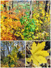 Dateiname=Collage_Manni~0.jpg
Dateigröße=762KB
Abmessungen: 900x1200
hinzugefügt am: 26. November 2023 Collage_Manni~0.jpg