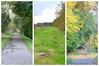 Dateiname=Collage_Weg-P.jpg
Dateigröße=428KB
Abmessungen: 1200x800
hinzugefügt am: 15. November 2023 Collage_Weg-P.jpg