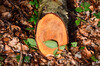 Dateiname=DSCKP_0666.jpg
Dateigröße=693KB
Abmessungen: 1200x795
hinzugefügt am: 03. Februar 2024 DSCKP_0666.jpg