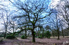Dateiname=DSCKP_0677.jpg
Dateigröße=1816KB
Abmessungen: 1200x795
hinzugefügt am: 08. Februar 2024 DSCKP_0677.jpg