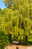 Dateiname=DSCKR_0109.jpg
Dateigröße=1620KB
Abmessungen: 795x1200
hinzugefügt am: 25. Mai 2024 DSCKR_0109.jpg
