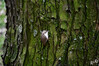 Dateiname=DSCKR_2805.jpg
Dateigröße=1013KB
Abmessungen: 1200x800
hinzugefügt am: 03. Dezember 2023 DSCKR_2805.jpg