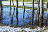 Dateiname=DSCKR_2950.jpg
Dateigröße=1406KB
Abmessungen: 1200x800
hinzugefügt am: 09. Januar 2024 DSCKR_2950.jpg
