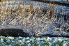Dateiname=DSCKR_2955.jpg
Dateigröße=1486KB
Abmessungen: 1200x800
hinzugefügt am: 09. Januar 2024 DSCKR_2955.jpg
