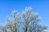 Dateiname=DSCKR_2999.jpg
Dateigröße=1304KB
Abmessungen: 1200x800
hinzugefügt am: 13. Januar 2024 DSCKR_2999.jpg