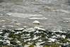 Dateiname=DSCKR_3042.jpg
Dateigröße=932KB
Abmessungen: 1200x800
hinzugefügt am: 12. Januar 2024 DSCKR_3042.jpg