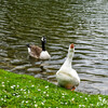 Dateiname=DSCKR_3712.jpg
Dateigröße=1362KB
Abmessungen: 1200x1200
hinzugefügt am: 07. April 2024 DSCKR_3712.jpg
