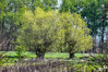 Dateiname=DSCKR_3785.jpg
Dateigröße=1576KB
Abmessungen: 1200x800
hinzugefügt am: 18. April 2024 DSCKR_3785.jpg