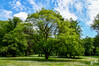 Dateiname=DSCKR_4238.jpg
Dateigröße=1297KB
Abmessungen: 1200x800
hinzugefügt am: 23. Mai 2024 DSCKR_4238.jpg