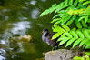 Dateiname=DSCKR_5185.jpg
Dateigröße=784KB
Abmessungen: 1200x800
hinzugefügt am: 05. Oktober 2024 DSCKR_5185.jpg
