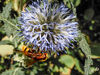Dateiname=DSCN0303.jpg
Dateigröße=582KB
Abmessungen: 850x638
hinzugefügt am: 12. August 2019 DSCN0303.jpg