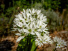 Dateiname=DSCN1479.JPG
Dateigröße=898KB
Abmessungen: 1200x900
hinzugefügt am: 24. April 2020 DSCN1479.JPG