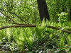 Dateiname=DSCN1485.JPG
Dateigröße=1829KB
Abmessungen: 1200x900
hinzugefügt am: 01. Mai 2020 DSCN1485.JPG