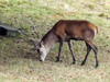 Dateiname=DSCN2213.JPG
Dateigröße=964KB
Abmessungen: 1200x900
hinzugefügt am: 29. September 2020 DSCN2213.JPG