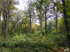Dateiname=DSCN2361.JPG
Dateigröße=1732KB
Abmessungen: 1200x900
hinzugefügt am: 20. Oktober 2020 DSCN2361.JPG