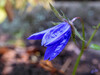 DSCN2377.JPG