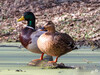 DSCN2830.JPG