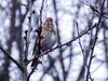Dateiname=DSCN2865.JPG
Dateigröße=942KB
Abmessungen: 1200x900
hinzugefügt am: 15. März 2021 DSCN2865.JPG
