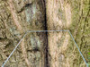 Dateiname=DSCN3161.JPG
Dateigröße=1345KB
Abmessungen: 1200x900
hinzugefügt am: 20. Mai 2021 DSCN3161.JPG