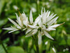 DSCN3166.JPG