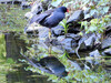 Dateiname=DSCN3182.JPG
Dateigröße=1297KB
Abmessungen: 1200x900
hinzugefügt am: 10. Mai 2021 DSCN3182.JPG