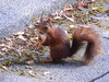 Dateiname=DSCN3281.JPG
Dateigröße=1457KB
Abmessungen: 1200x900
hinzugefügt am: 05. Juni 2021 DSCN3281.JPG