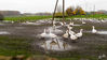 Dateiname=DSCN3369.jpg
Dateigröße=510KB
Abmessungen: 850x480
hinzugefügt am: 16. November 2017 DSCN3369.jpg