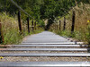 Dateiname=DSCN3621.JPG
Dateigröße=1511KB
Abmessungen: 1200x900
hinzugefügt am: 03. August 2021 DSCN3621.JPG