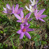 Dateiname=DSCN3861.jpg
Dateigröße=1000KB
Abmessungen: 850x850
hinzugefügt am: 04. September 2018 DSCN3861.jpg
