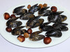Dateiname=DSCN4010.JPG
Dateigröße=983KB
Abmessungen: 1200x900
hinzugefügt am: 13. Oktober 2021 DSCN4010.JPG