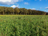 Dateiname=DSCN4170.JPG
Dateigröße=1680KB
Abmessungen: 1200x900
hinzugefügt am: 02. November 2021 DSCN4170.JPG