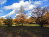 Dateiname=DSCN4230.JPG
Dateigröße=1341KB
Abmessungen: 1200x900
hinzugefügt am: 08. November 2021 DSCN4230.JPG