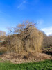 Dateiname=DSCN4620.JPG
Dateigröße=1421KB
Abmessungen: 900x1200
hinzugefügt am: 27. Februar 2022 DSCN4620.JPG