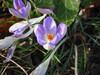 Dateiname=DSCN4624.JPG
Dateigröße=742KB
Abmessungen: 1200x900
hinzugefügt am: 20. Februar 2022 DSCN4624.JPG