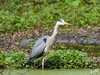 Dateiname=DSCN4853.JPG
Dateigröße=1152KB
Abmessungen: 1200x900
hinzugefügt am: 13. April 2022 DSCN4853.JPG