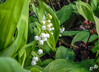 Dateiname=DSCNK5890.jpg
Dateigröße=766KB
Abmessungen: 1200x872
hinzugefügt am: 22. April 2024 DSCNK5890.jpg