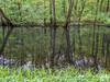 Dateiname=DSCNK5900.jpg
Dateigröße=1620KB
Abmessungen: 1200x900
hinzugefügt am: 21. April 2024 DSCNK5900.jpg