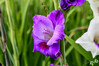Dateiname=DSCR_4928.jpg
Dateigröße=606KB
Abmessungen: 1200x800
hinzugefügt am: 10. August 2024 DSCR_4928.jpg
