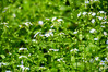 Dateiname=DSCR_5147.jpg
Dateigröße=830KB
Abmessungen: 1200x800
hinzugefügt am: 27. September 2024 DSCR_5147.jpg