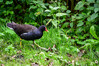 Dateiname=DSCR_5172.jpg
Dateigröße=1210KB
Abmessungen: 1200x800
hinzugefügt am: 28. September 2024 DSCR_5172.jpg