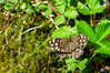 Dateiname=DSCR_5425.jpg
Dateigröße=1064KB
Abmessungen: 1200x800
hinzugefügt am: 02. September 2024 DSCR_5425.jpg