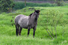 Dateiname=DSC_0007.JPG
Dateigröße=980KB
Abmessungen: 1200x800
hinzugefügt am: 19. Mai 2023 DSC_0007.JPG