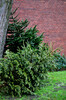 Dateiname=DSC_0021.JPG
Dateigröße=1327KB
Abmessungen: 795x1200
hinzugefügt am: 05. Januar 2021 DSC_0021.JPG