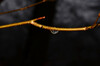 Dateiname=DSC_0131.JPG
Dateigröße=386KB
Abmessungen: 1200x795
hinzugefügt am: 03. Februar 2021 DSC_0131.JPG