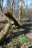 Dateiname=DSC_0134.jpg
Dateigröße=845KB
Abmessungen: 563x850
hinzugefügt am: 19. Februar 2018 DSC_0134.jpg