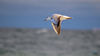 Dateiname=DSC_0151.jpg
Dateigröße=206KB
Abmessungen: 850x478
hinzugefügt am: 09. Oktober 2018 DSC_0151.jpg