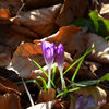 Dateiname=DSC_0163.jpg
Dateigröße=491KB
Abmessungen: 850x850
hinzugefügt am: 19. Februar 2018 DSC_0163.jpg