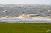 Dateiname=DSC_0187.jpg
Dateigröße=526KB
Abmessungen: 850x563
hinzugefügt am: 09. Januar 2019 DSC_0187.jpg